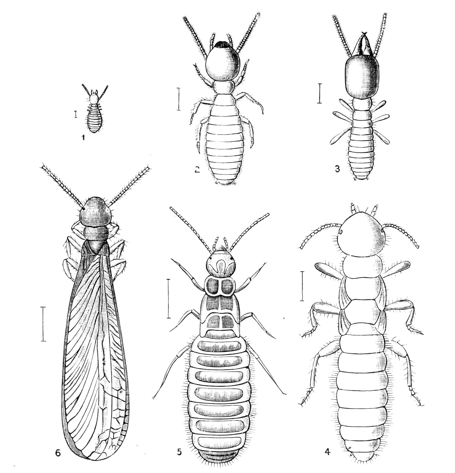 fig231