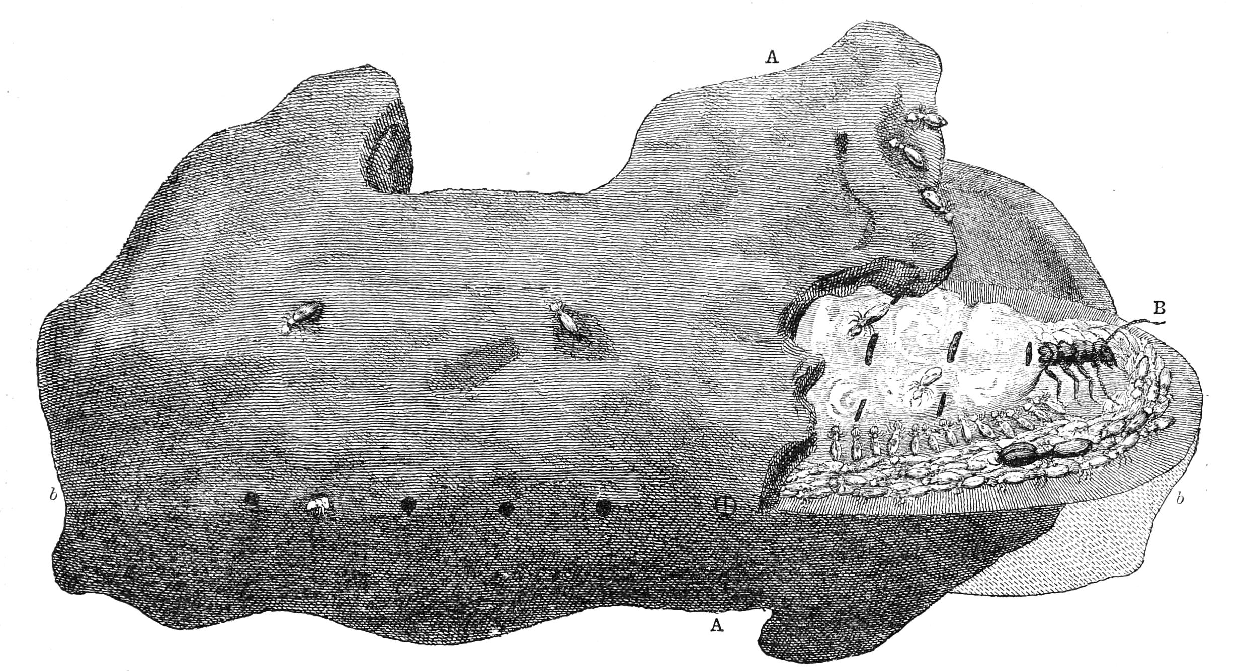 fig232