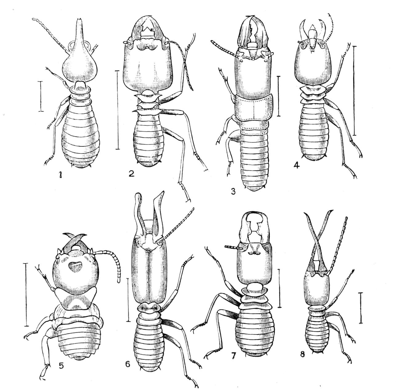 fig234