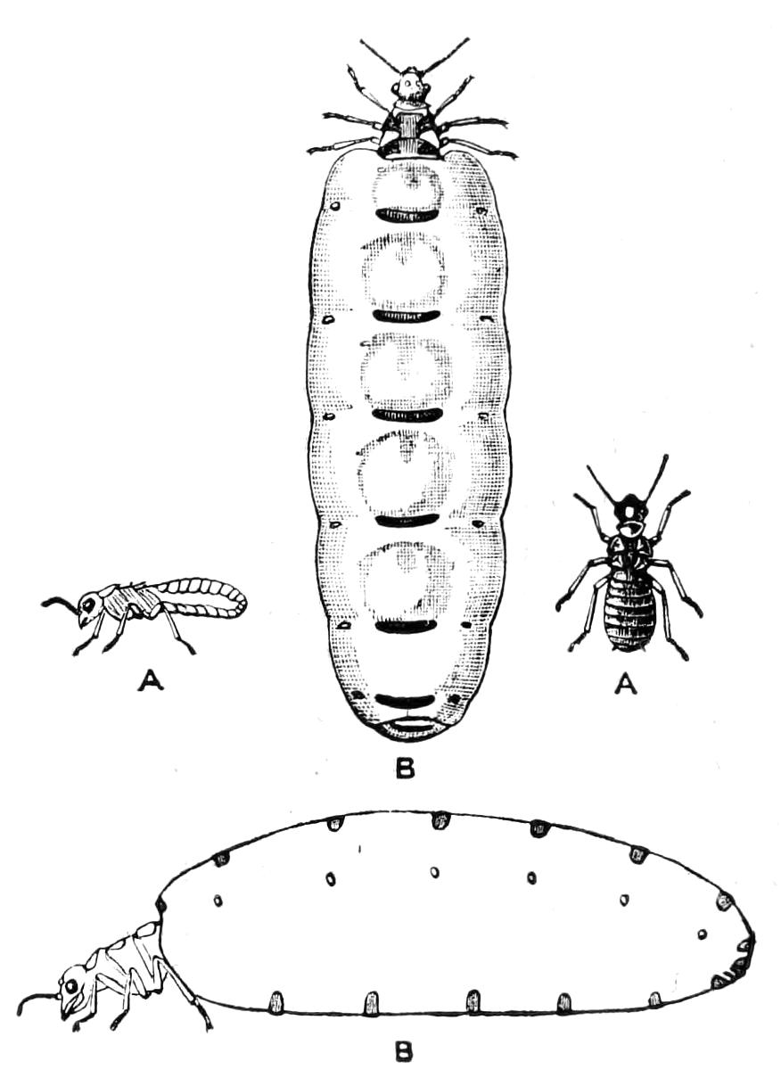 fig235