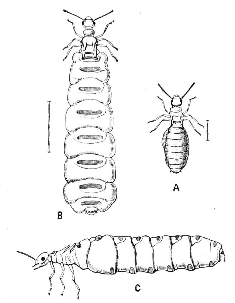 fig236