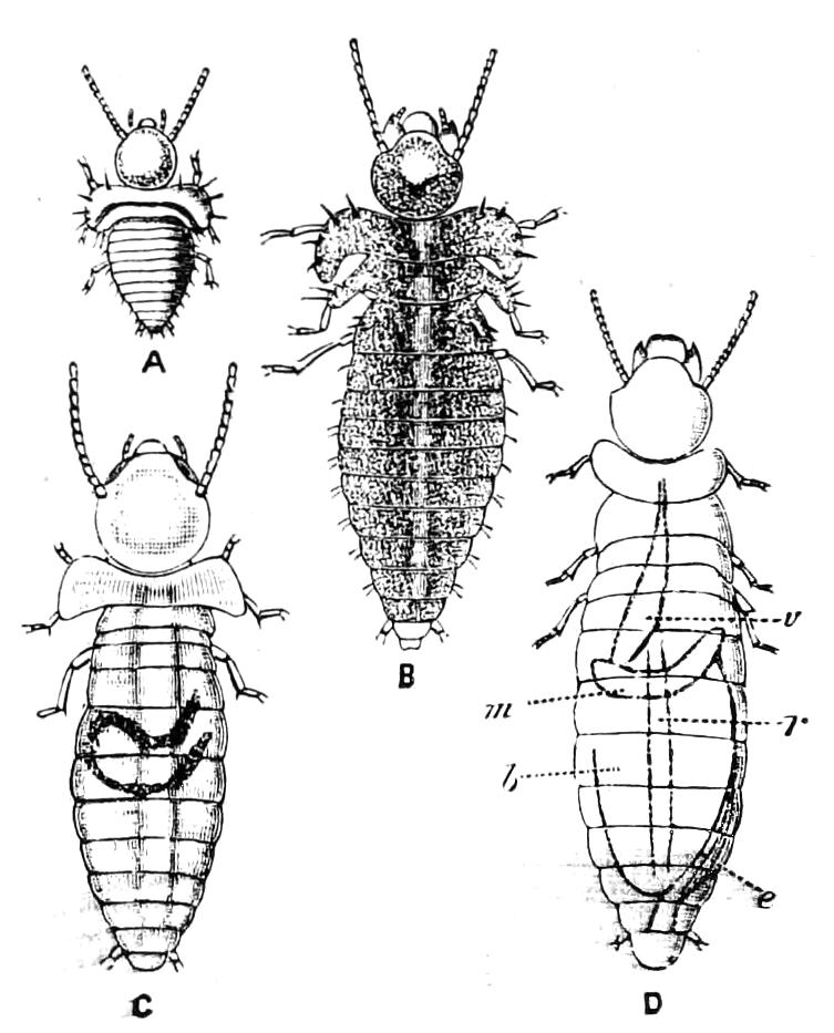 fig237
