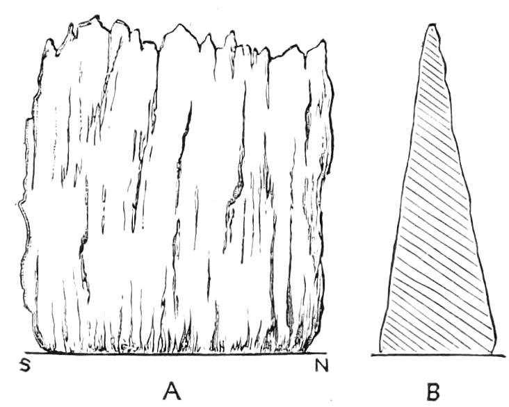 fig239