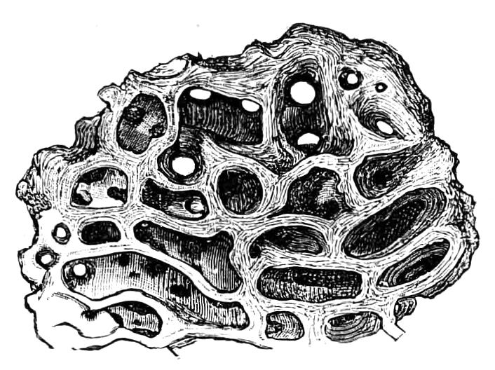fig240