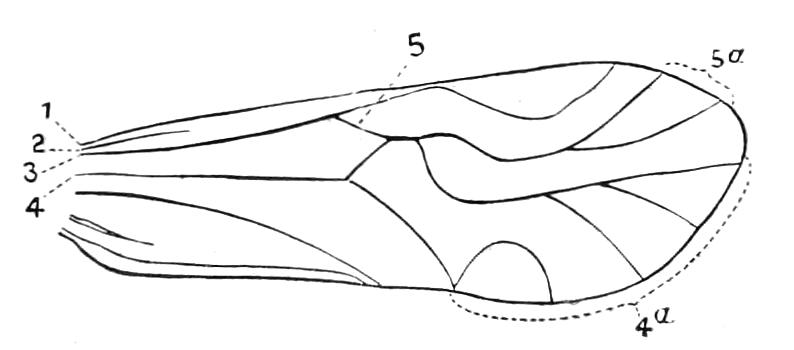 fig245