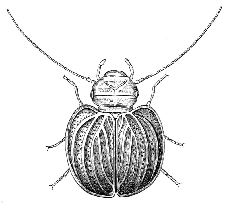 fig249