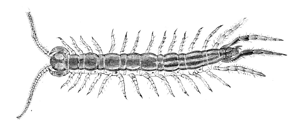 fig25