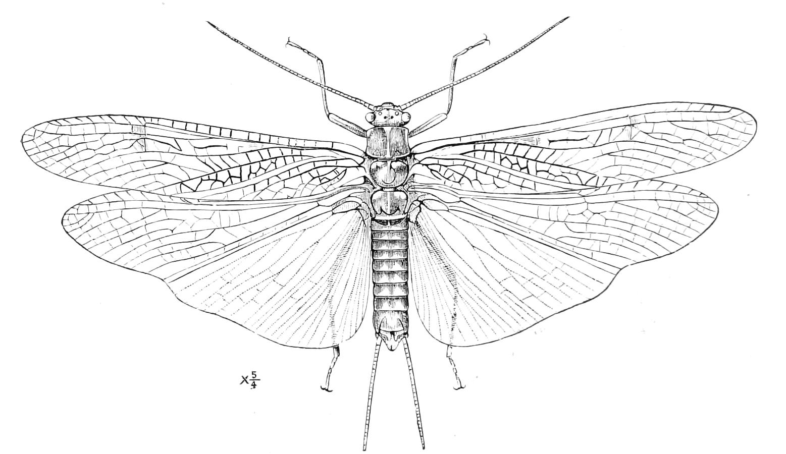fig250