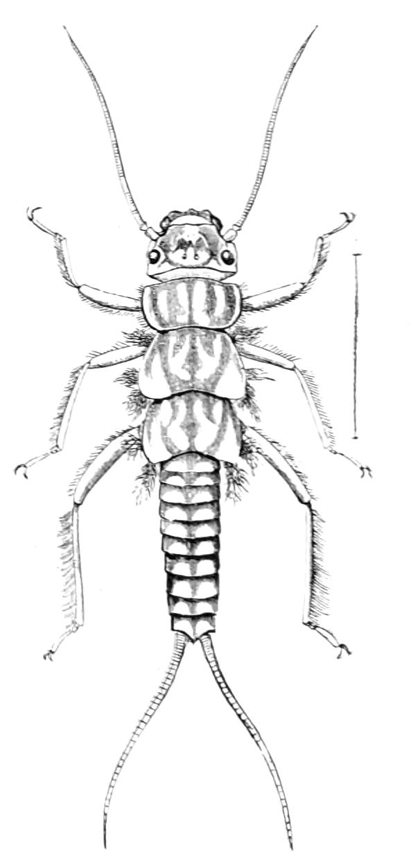 fig252
