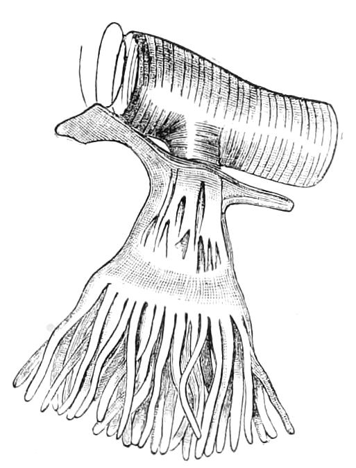 fig253