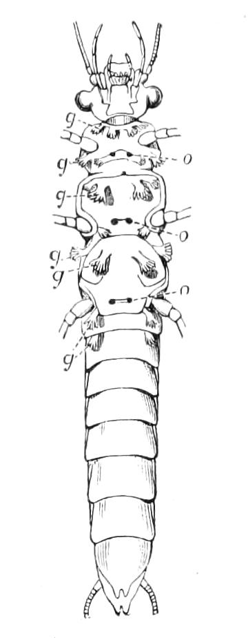 fig254