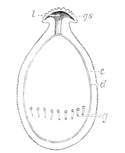 fig257