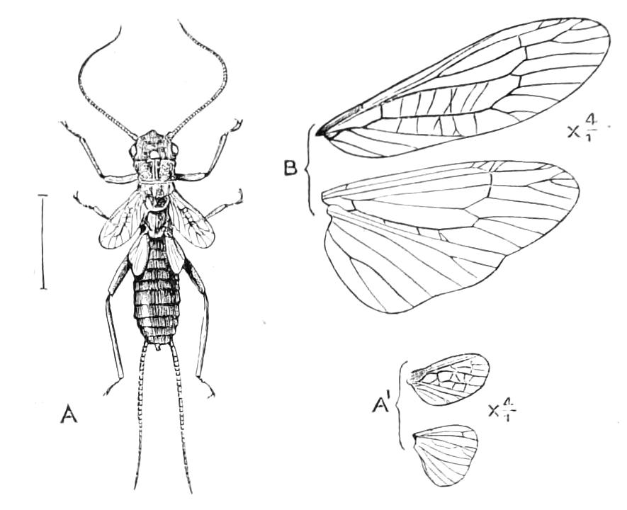 fig258