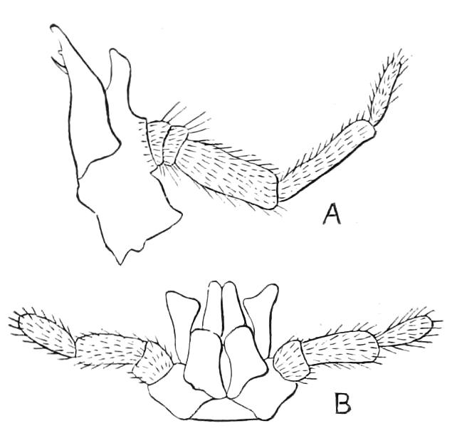 fig259