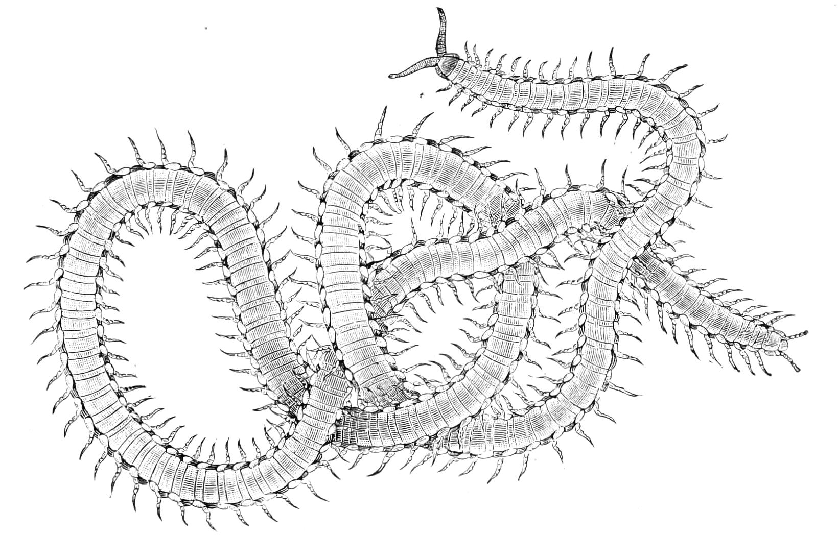 fig26