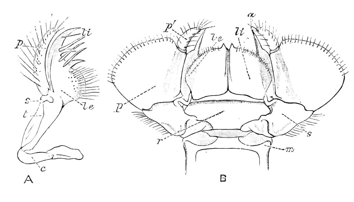fig261