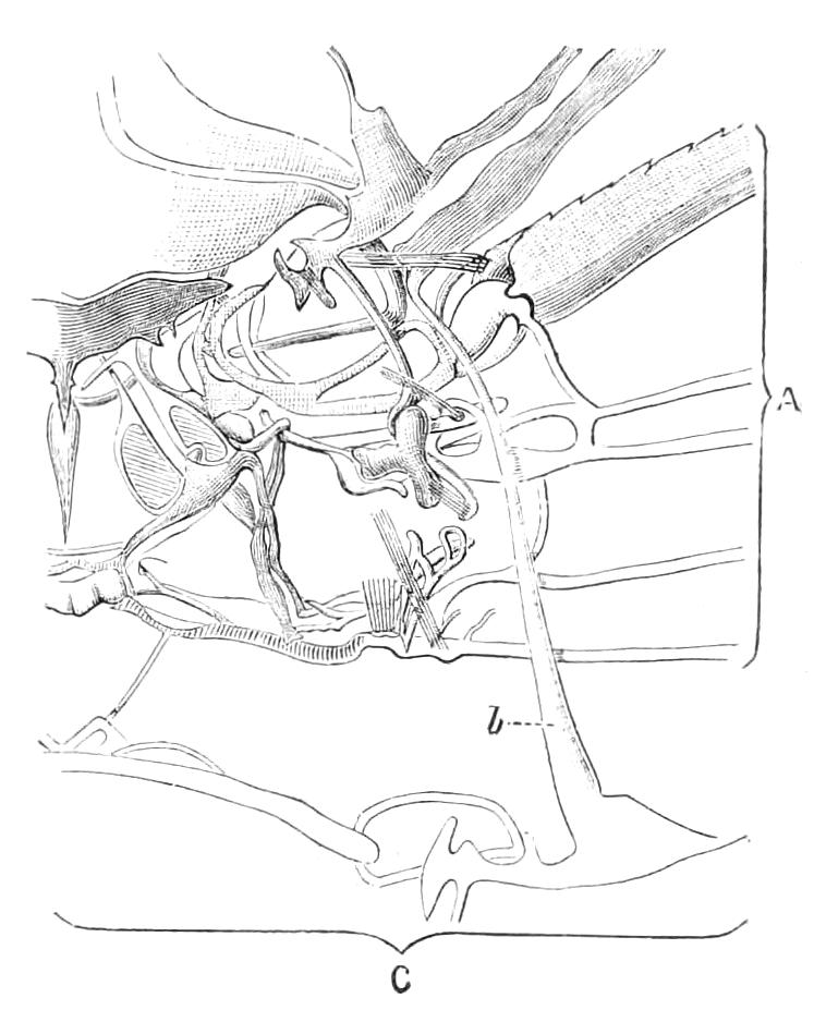 fig263