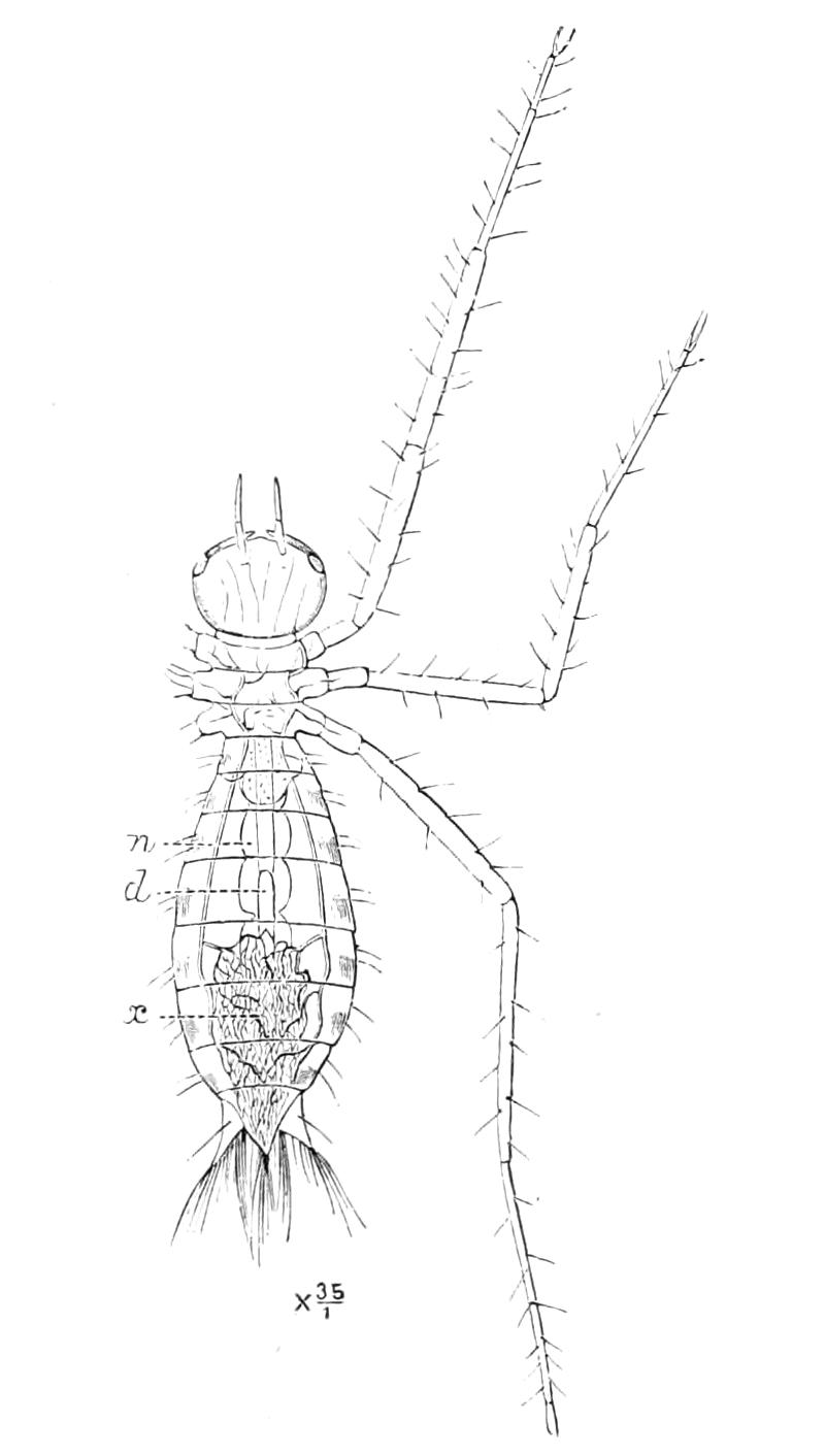fig265