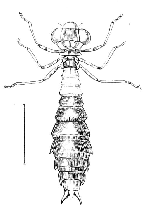 fig267