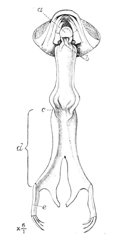 fig268