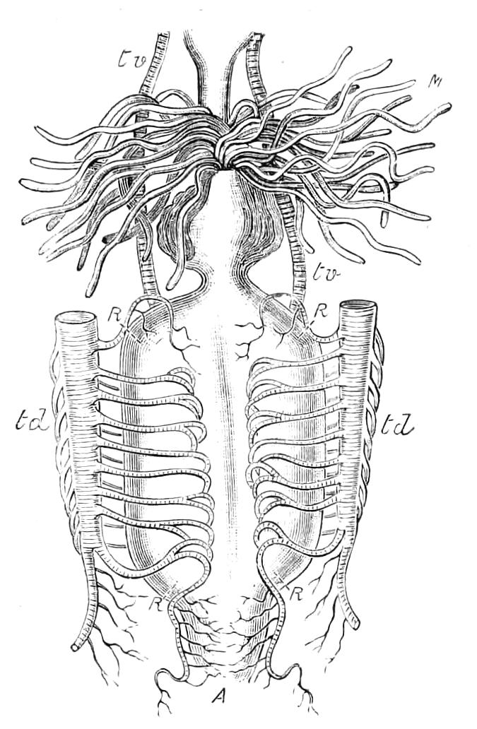 fig269