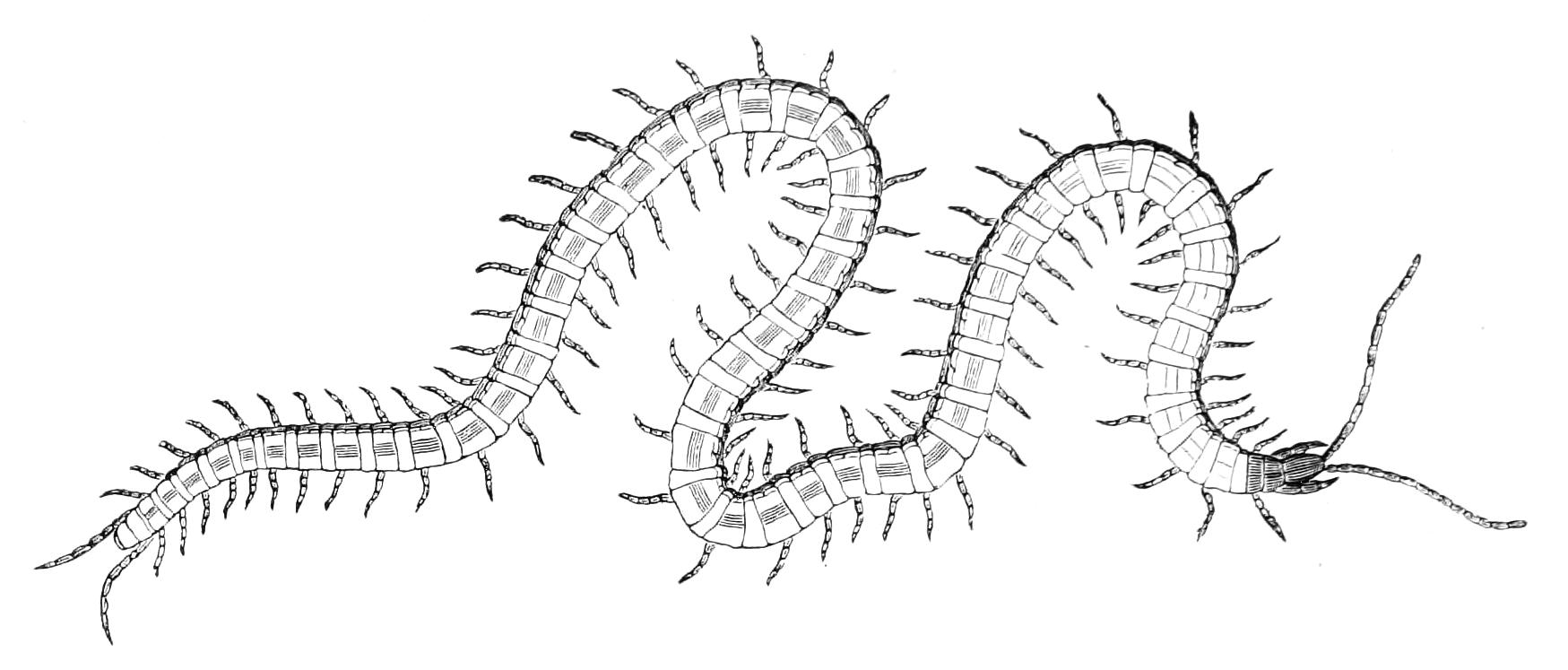 fig27