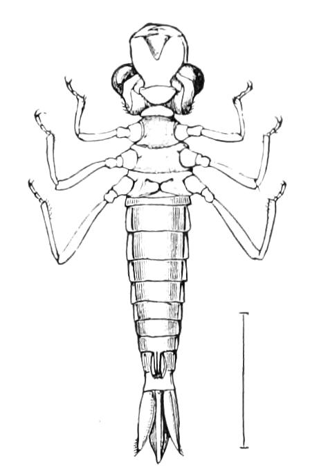 fig271