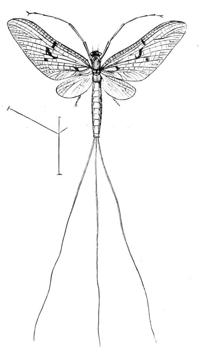 fig273