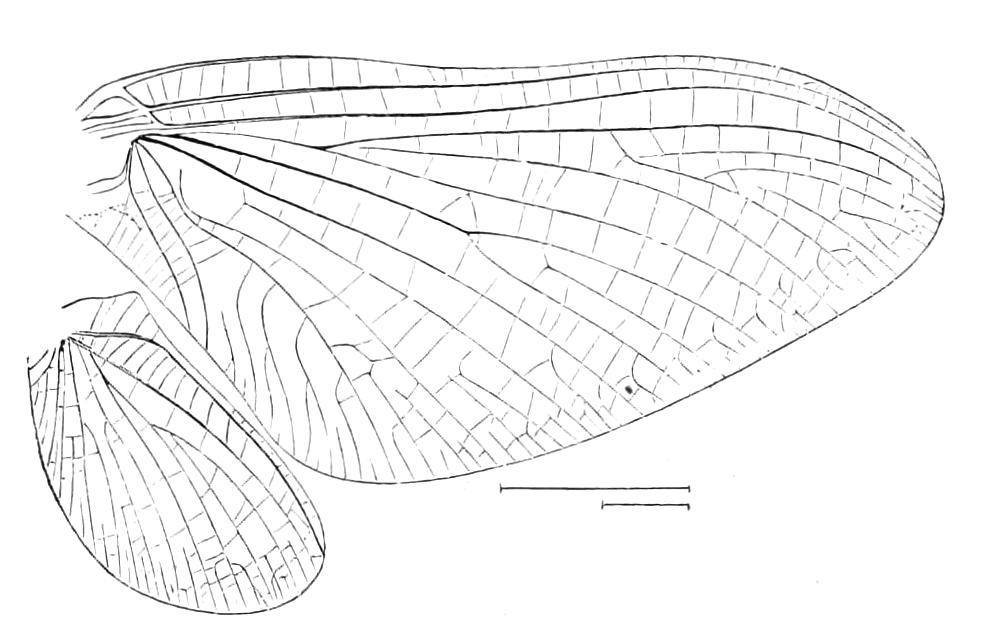 fig275