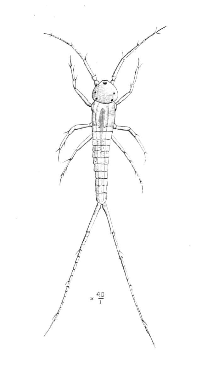 fig277
