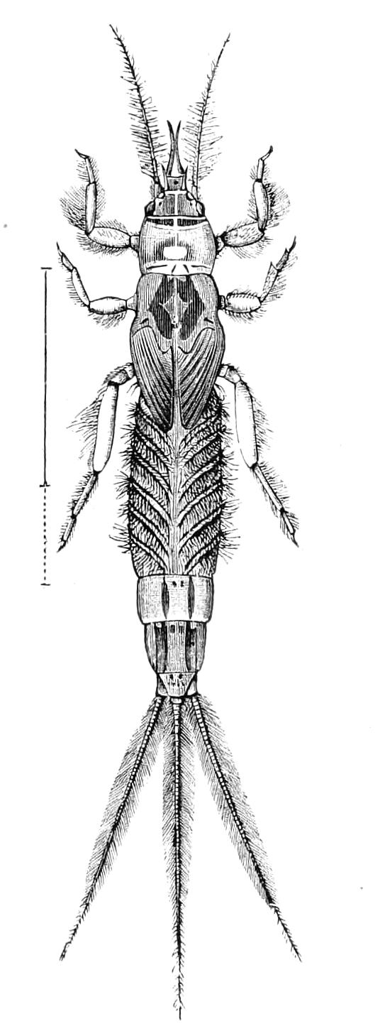 fig278