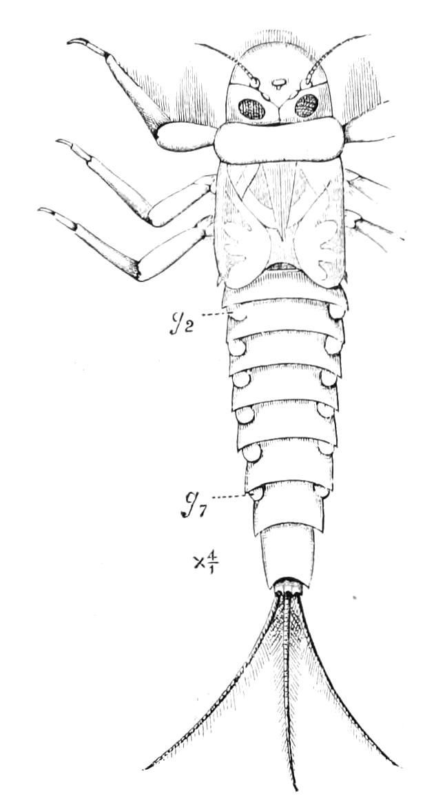 fig279
