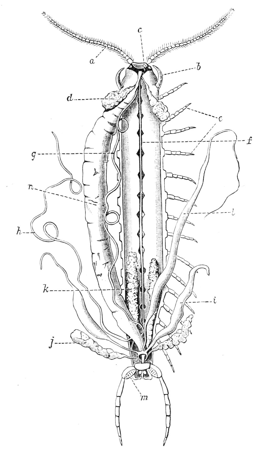 fig28