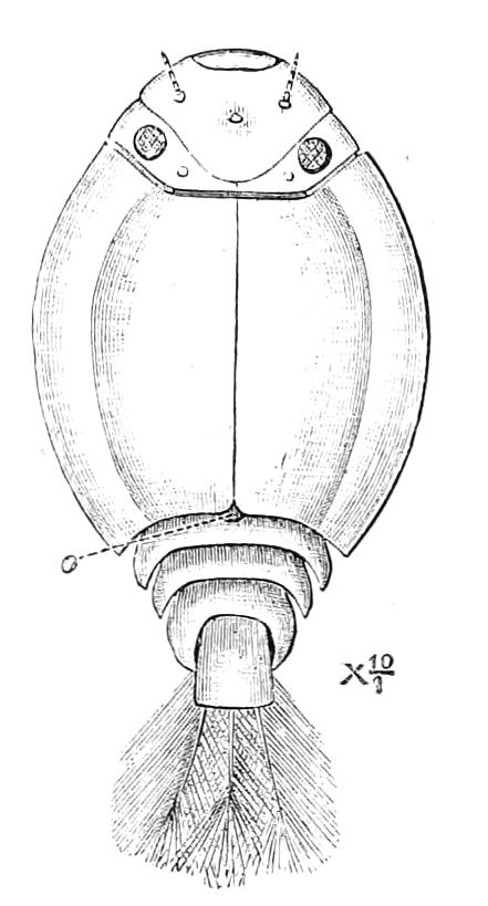 fig280