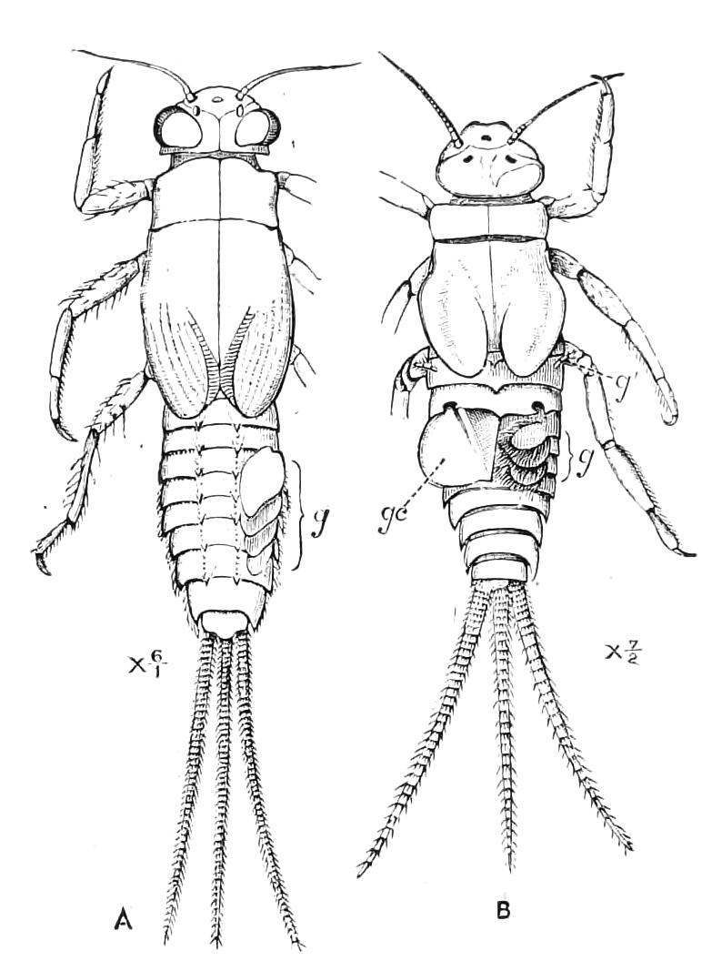 fig282