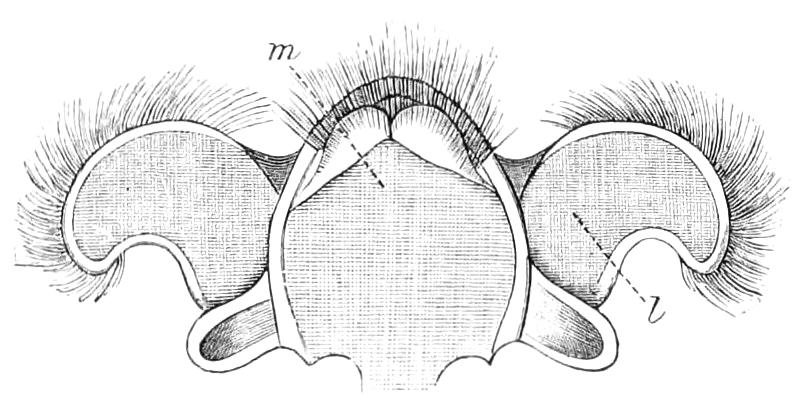 fig283