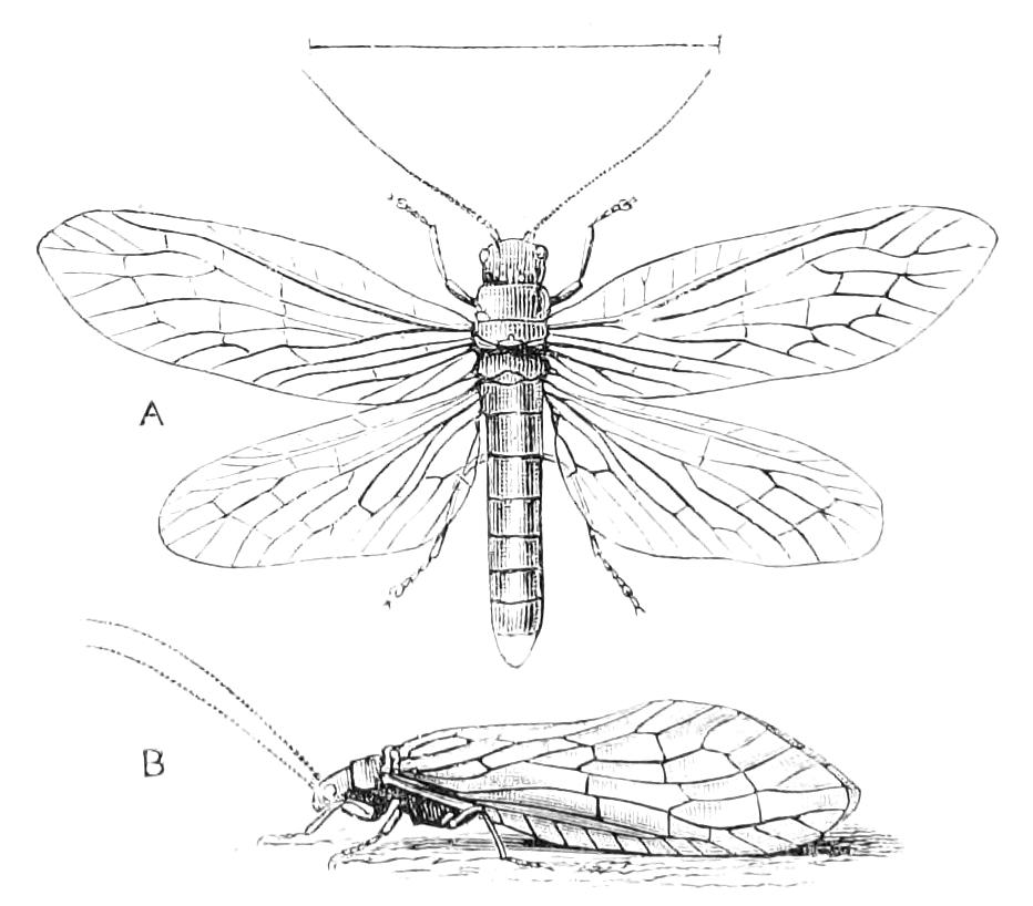 fig286