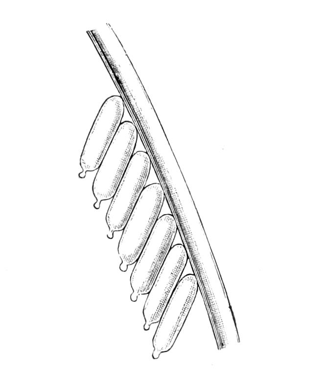 fig287