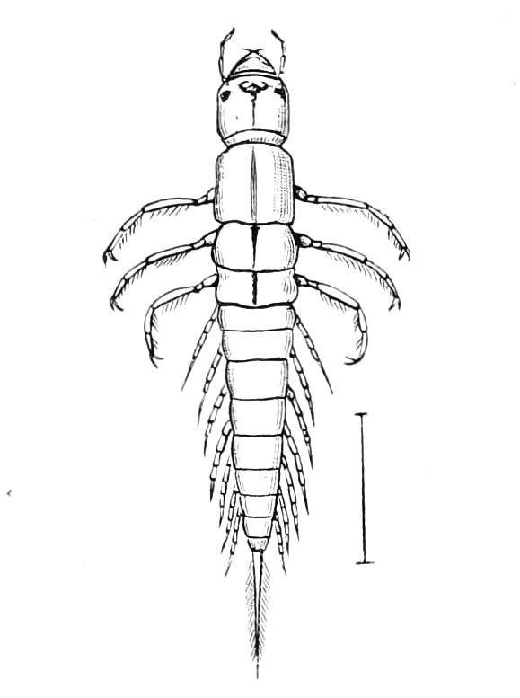 fig288