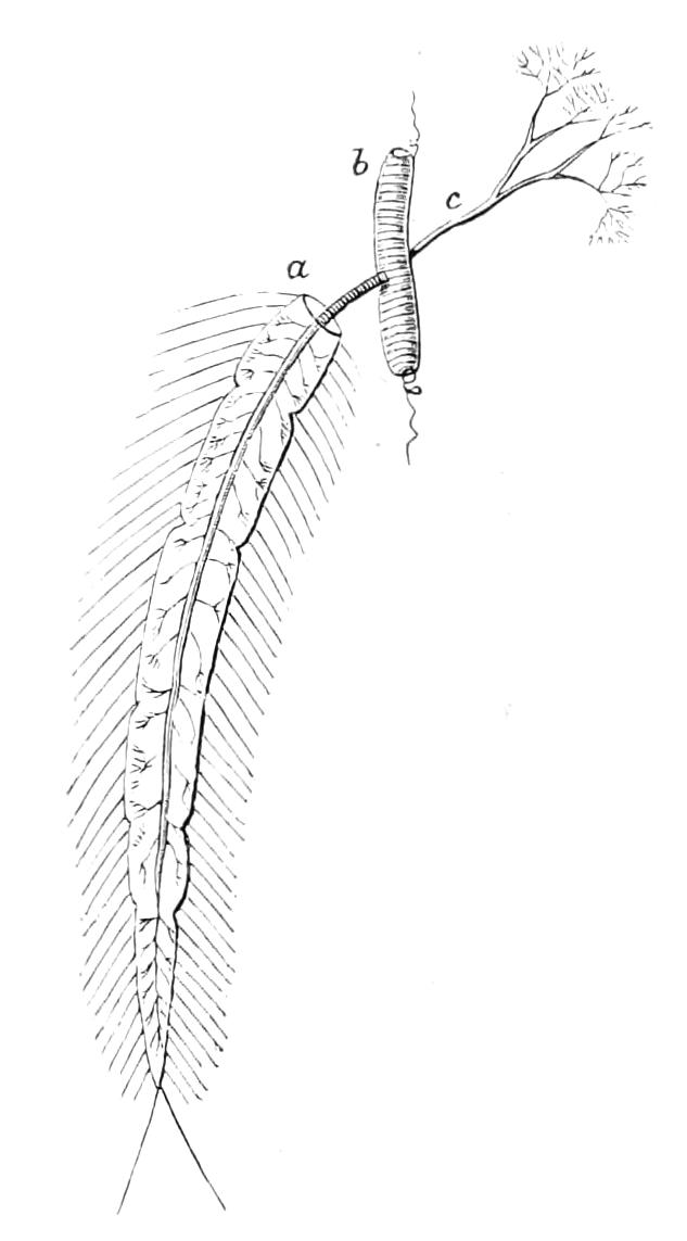 fig289