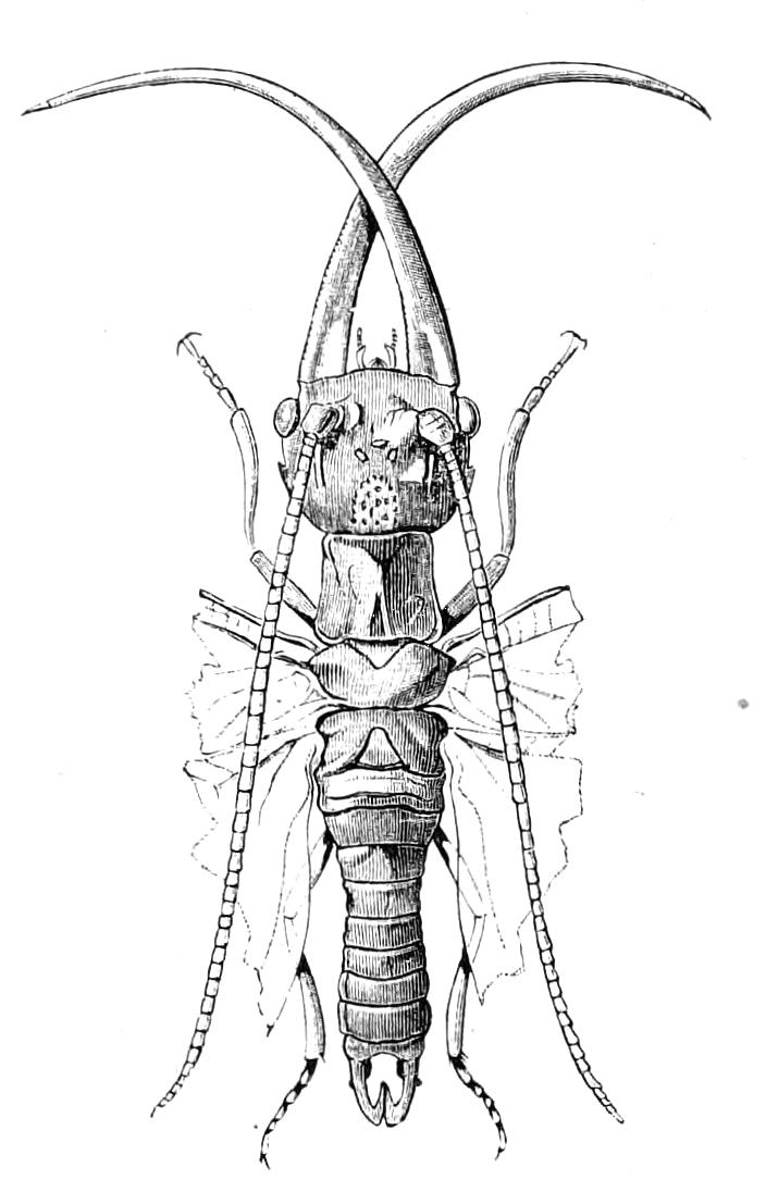 fig290