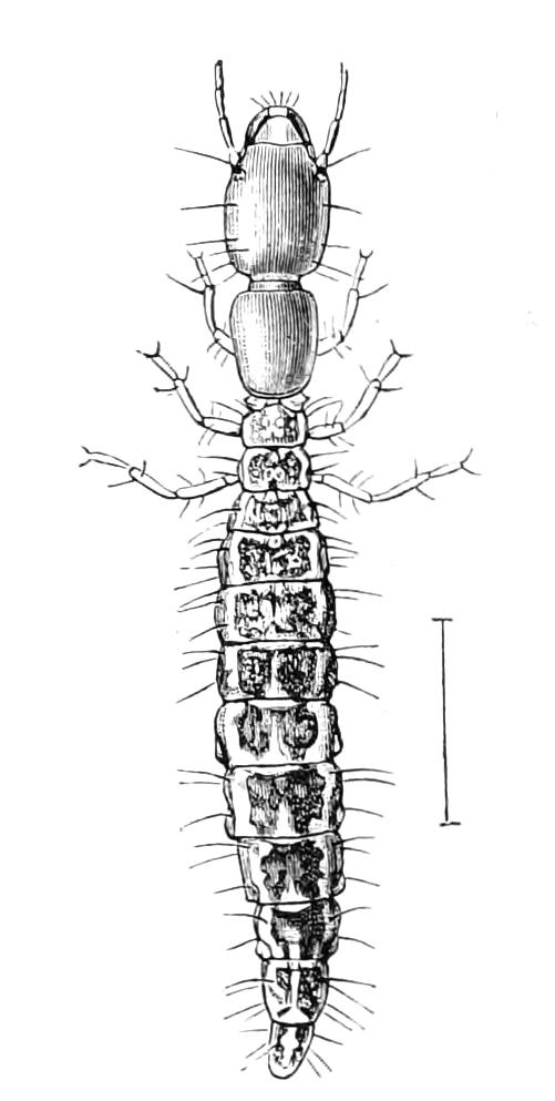 fig292