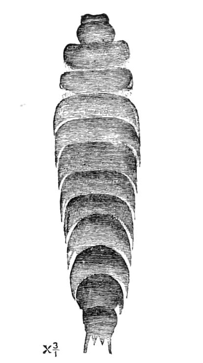 fig293