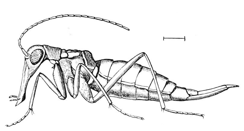 fig295