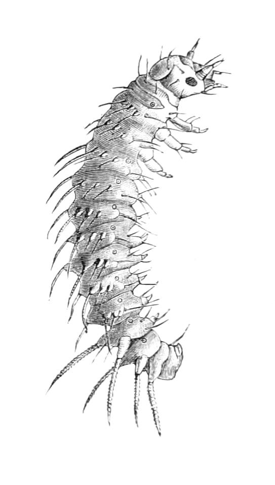 fig297