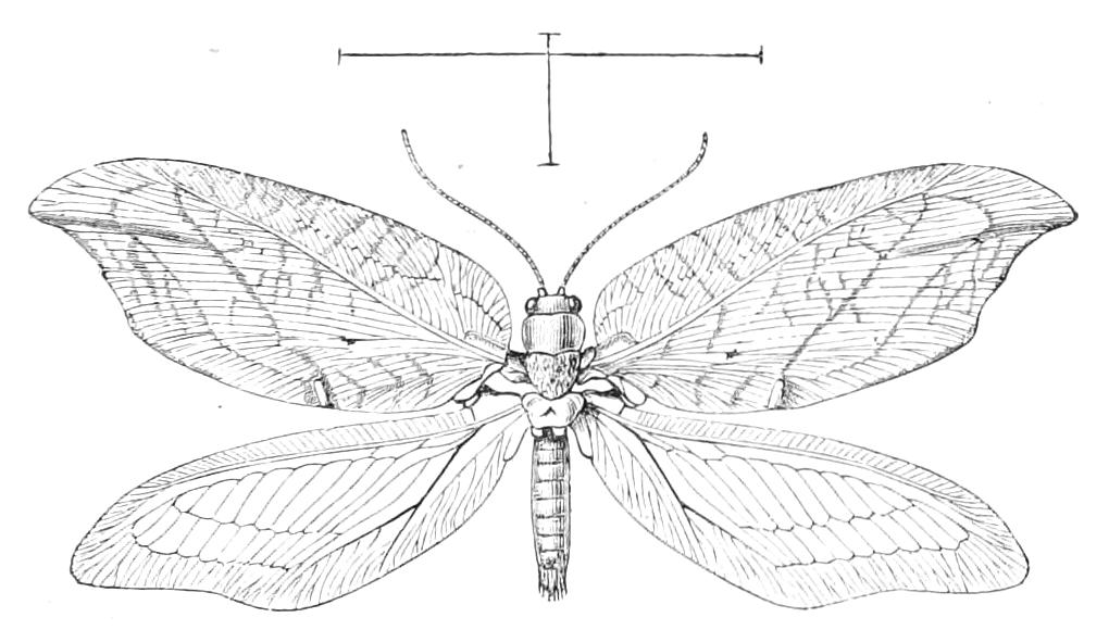 fig298
