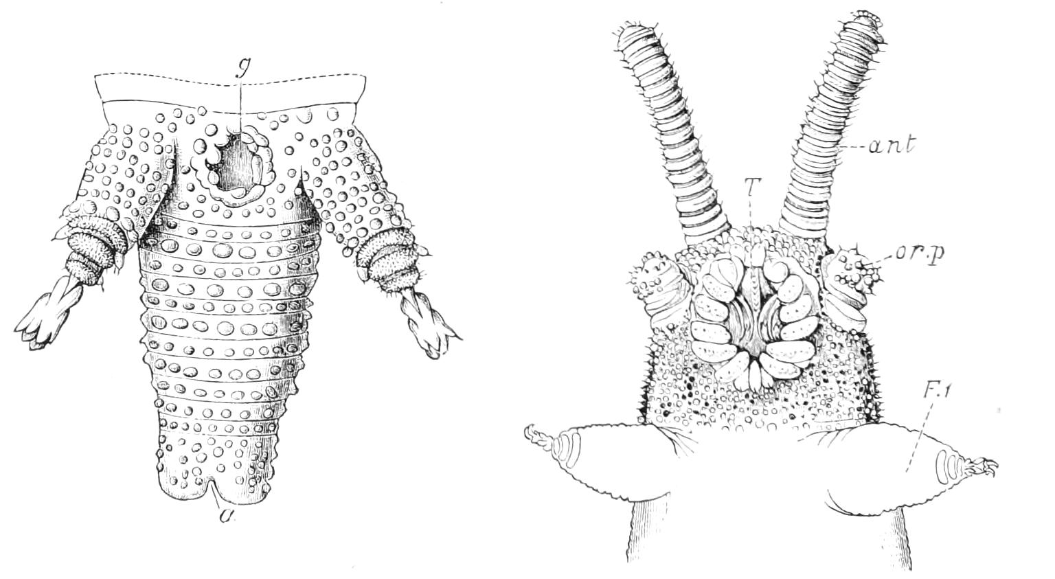fig2_3