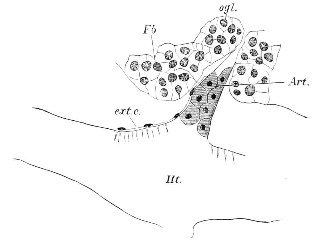 fig30
