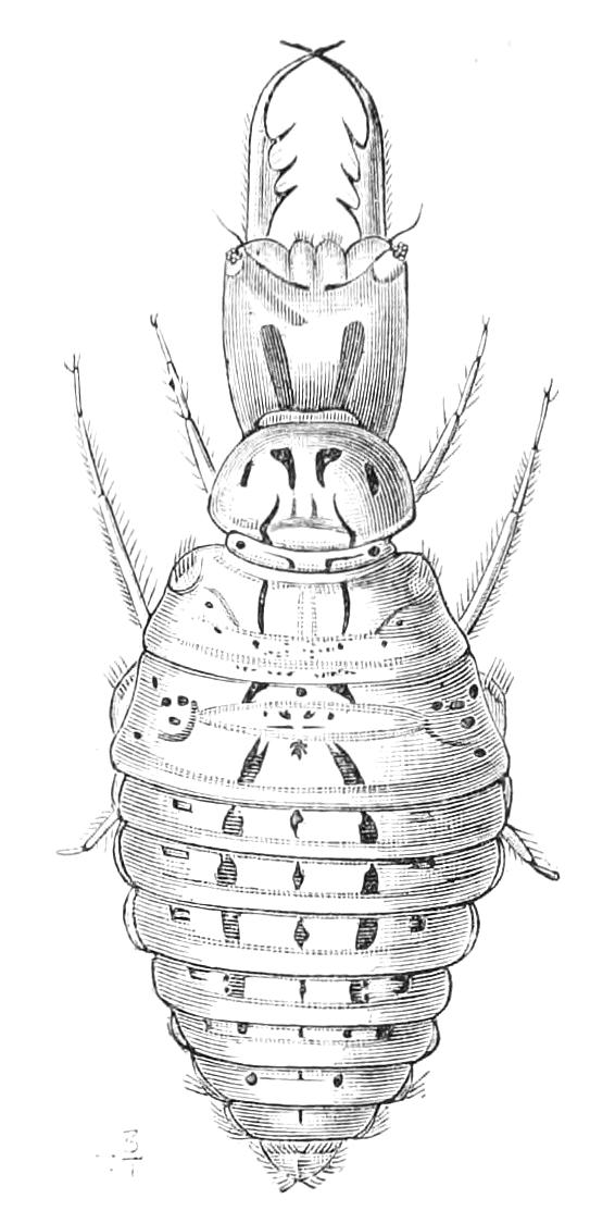 fig300