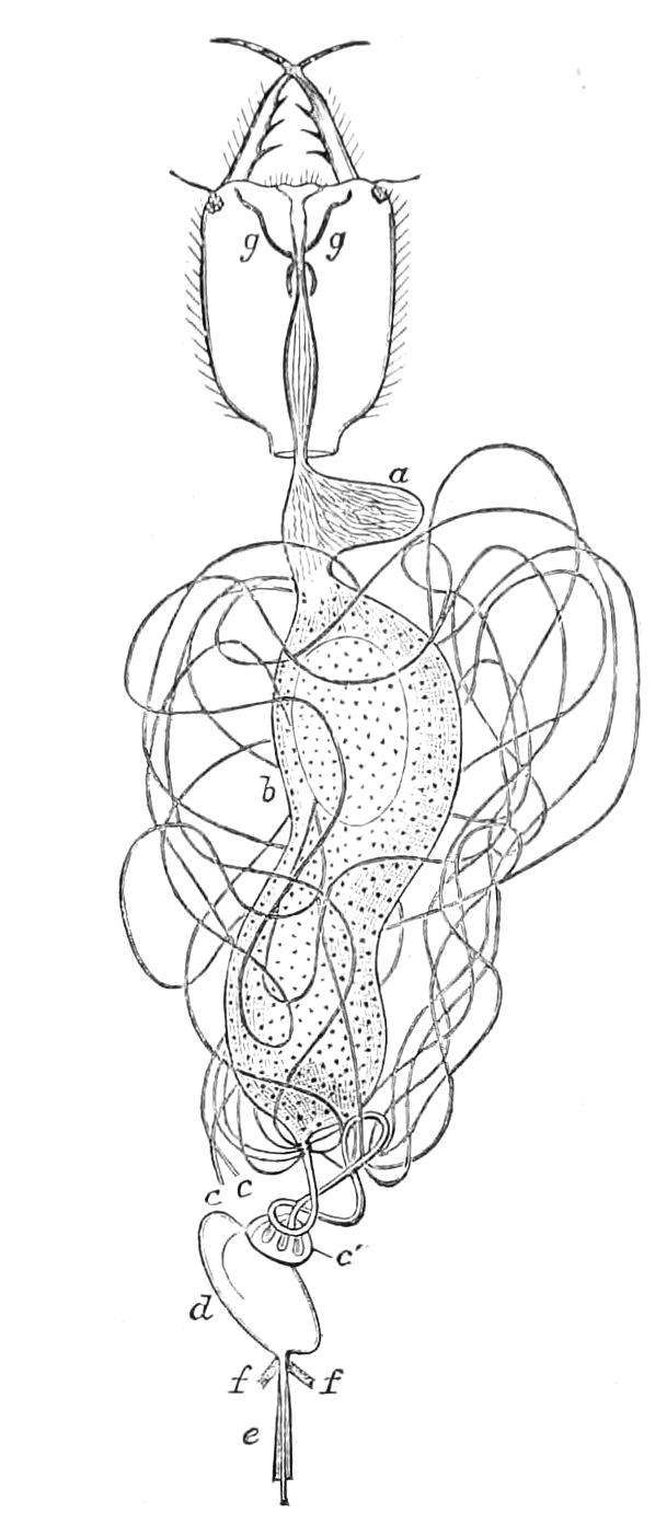 fig301